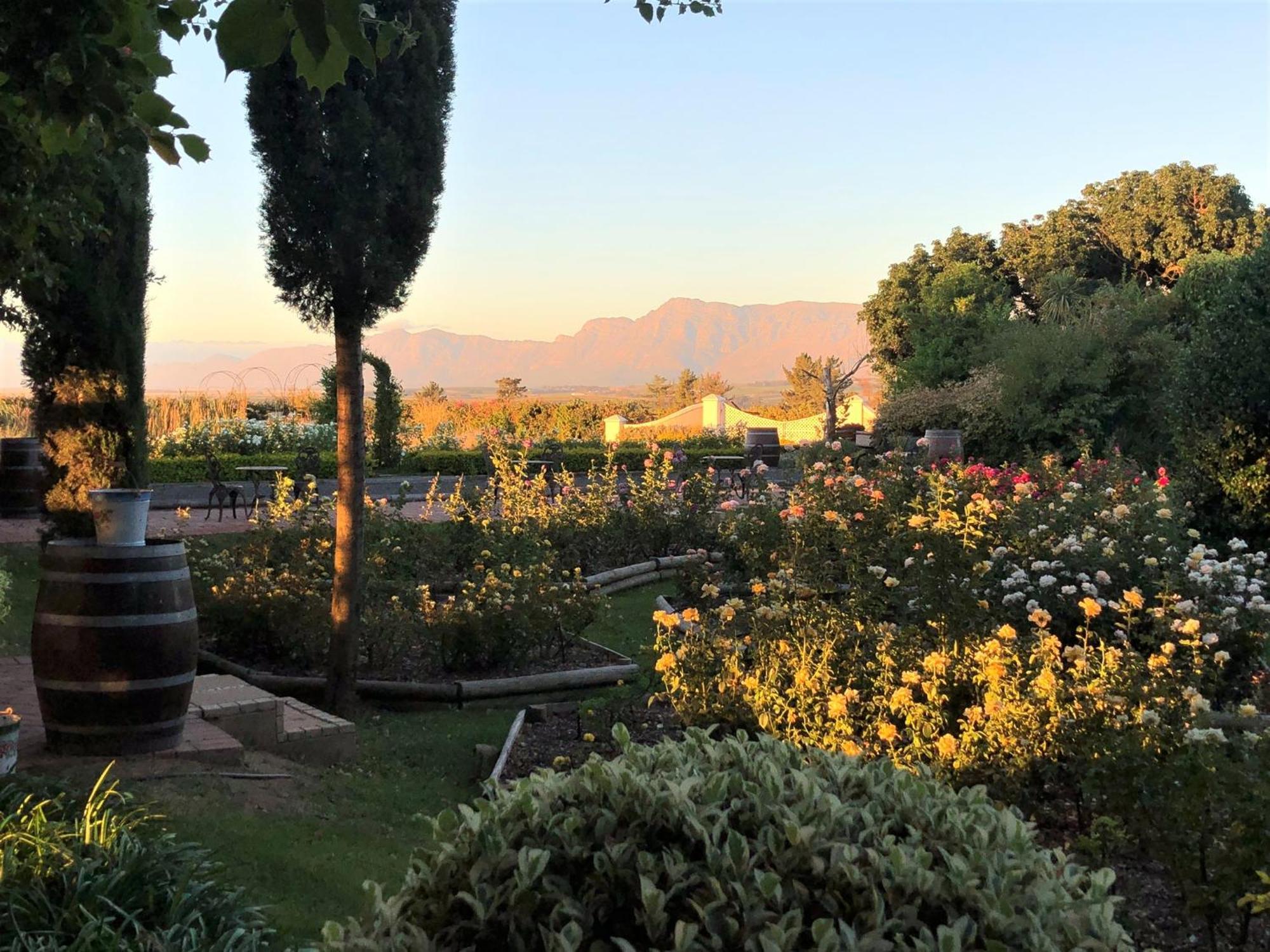 Bakenhof Winelands Lodge Paarl Exterior photo